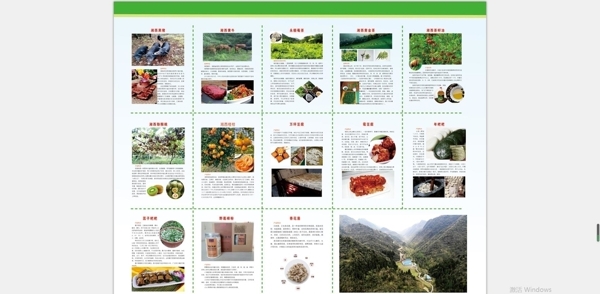 农产品宣传手册