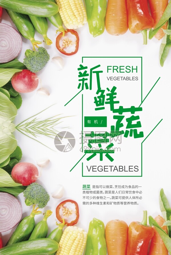 现代彩色多彩缤纷新鲜蔬菜海报