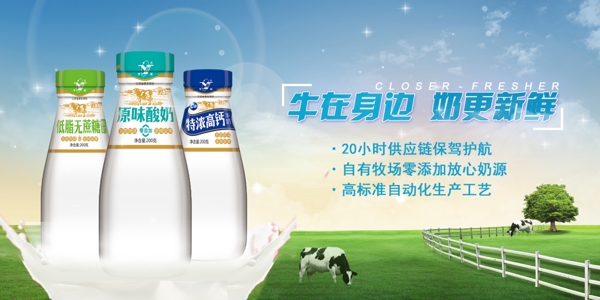 新鲜牛奶横幅草地奶牛