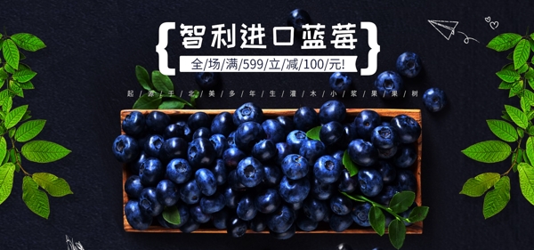 新鲜蓝莓清新生鲜水果促销电商淘宝主图首焦