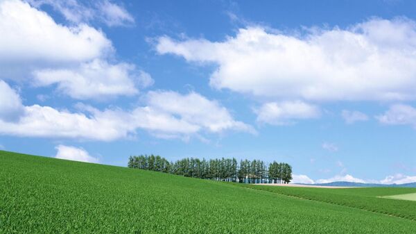自然風(fēng)景