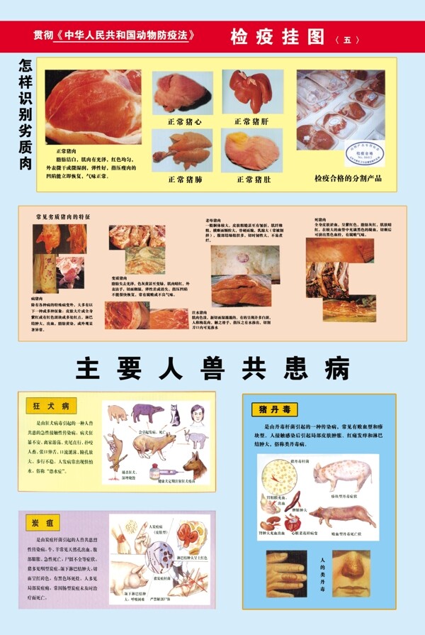 檢疫宣傳展板圖片
