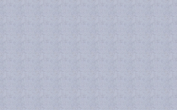 紙的背景254