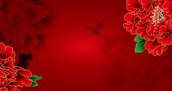 牡丹