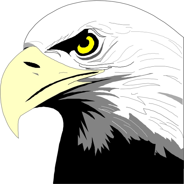 矢量逼真鳥類動物42