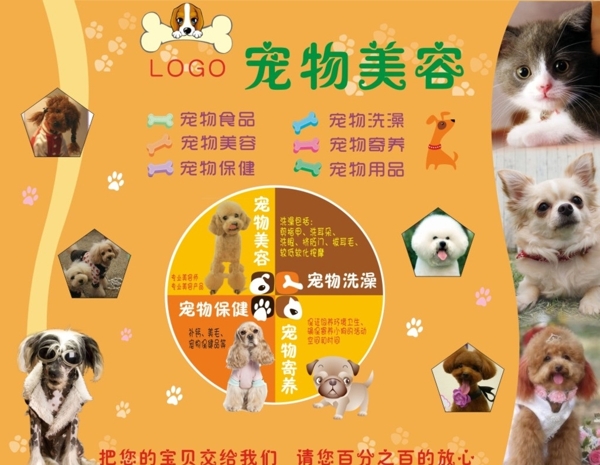 寵物店DM宣傳單圖片