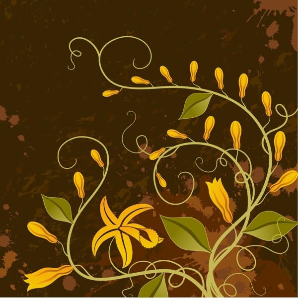 經(jīng)典植物花紋