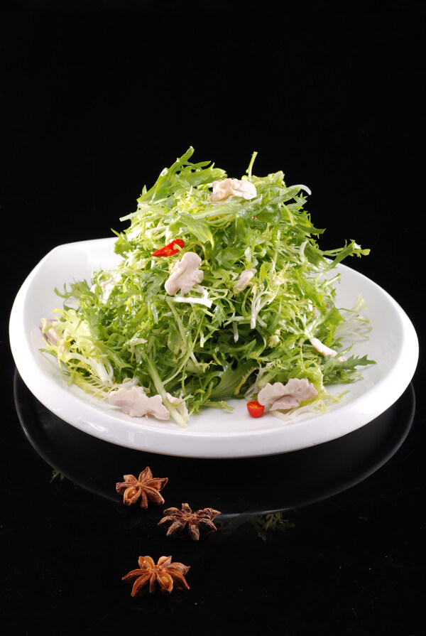苦菊桃仁圖片