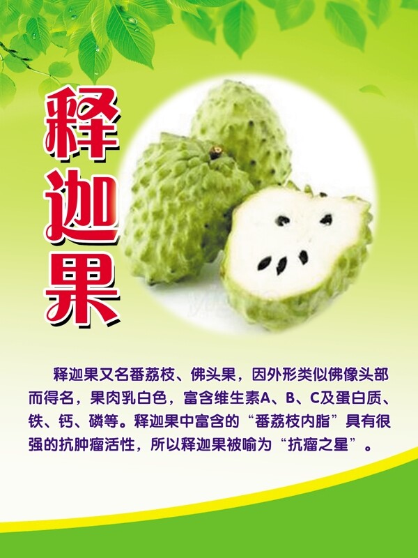 釋迦果圖片