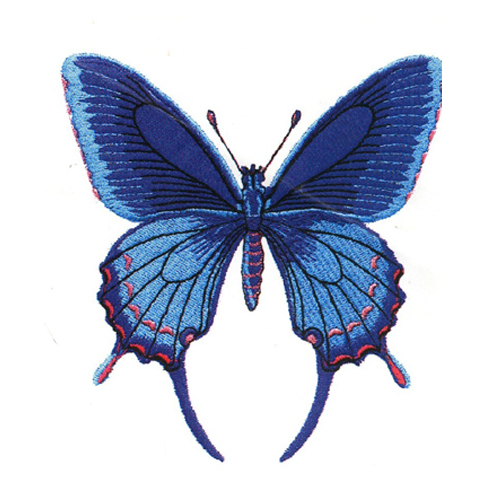绣花动物昆虫色彩蓝色免费素材
