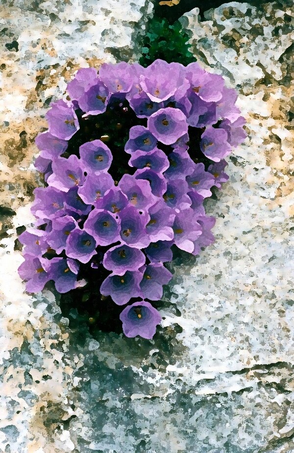 位圖寫(xiě)意花卉植物花朵免費(fèi)素材