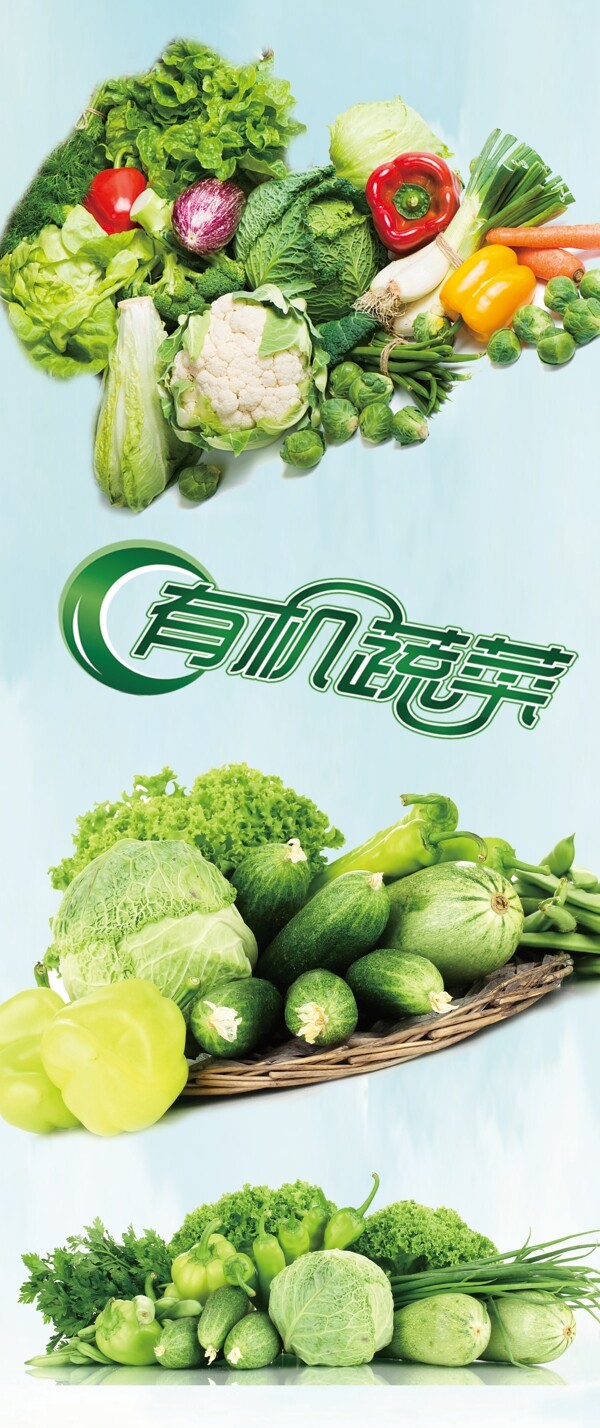 蔬菜海報