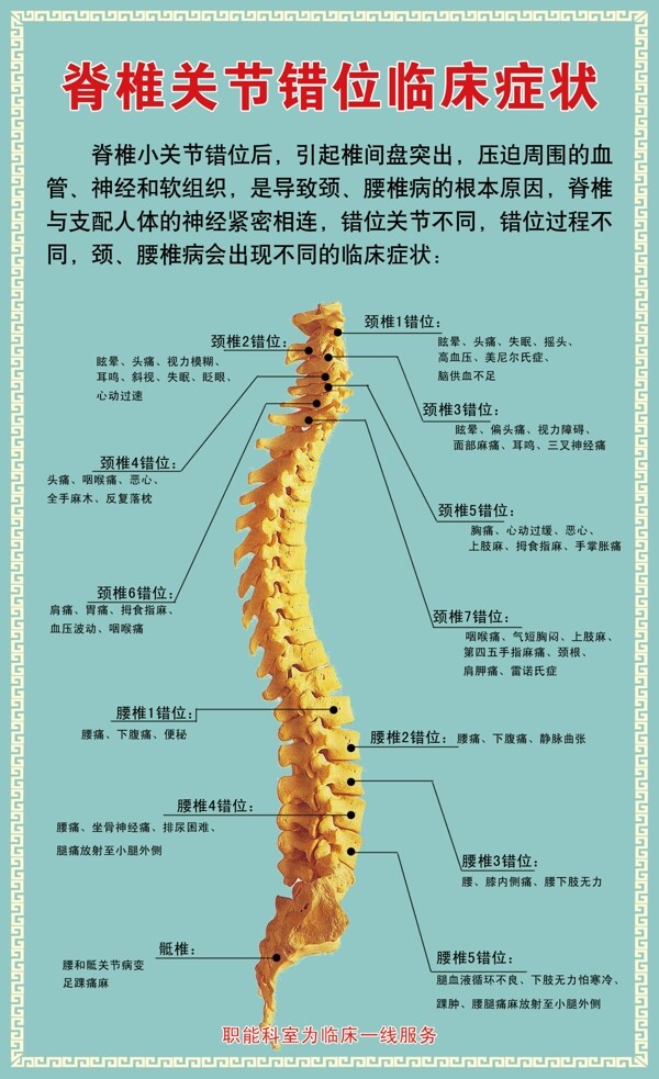 脊椎关节错位临床症状图片