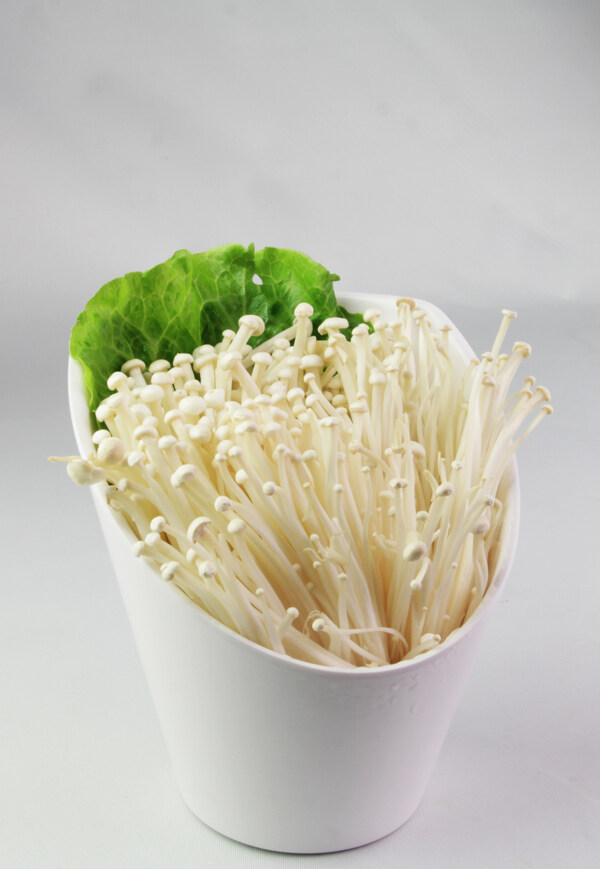 金針菇食材