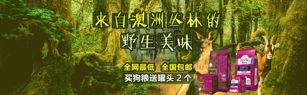 活動(dòng)海報(bào)