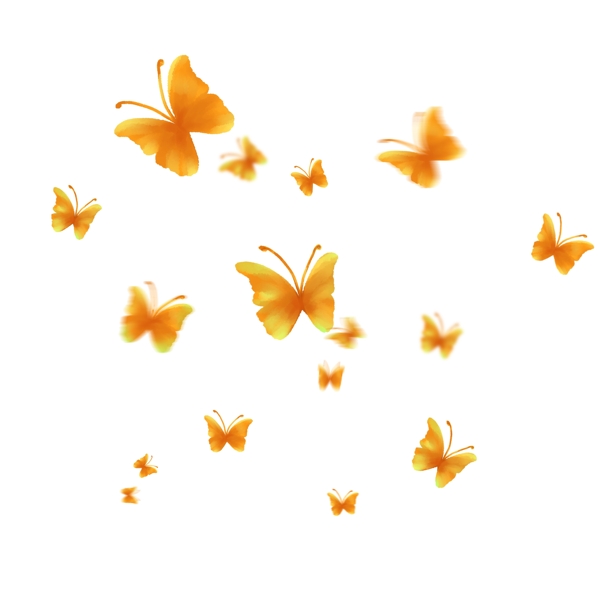 漂浮的蝴蝶漂浮的金黄色蝴蝶飞舞的蝴蝶
