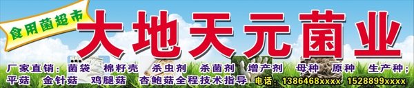 大地田園菌業(yè)廣告圖片