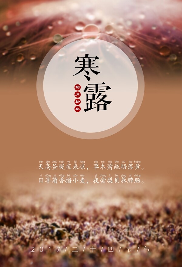 2017二十四節(jié)氣之寒露簡約海報