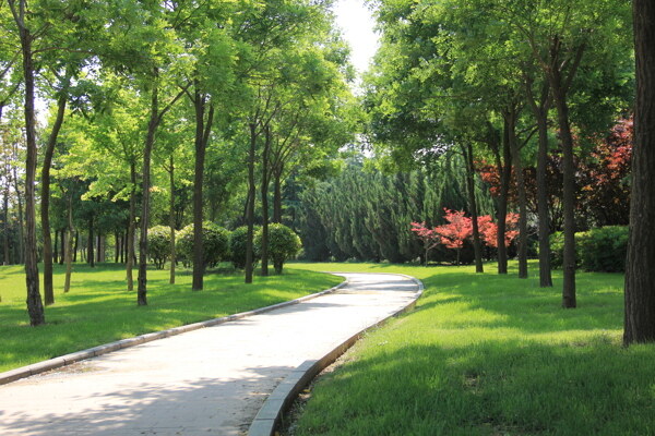 公園圖片