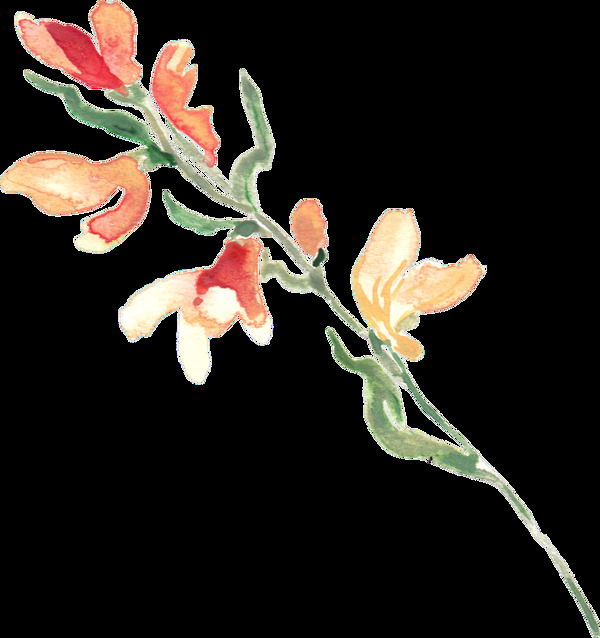 求婚花束png透明素材