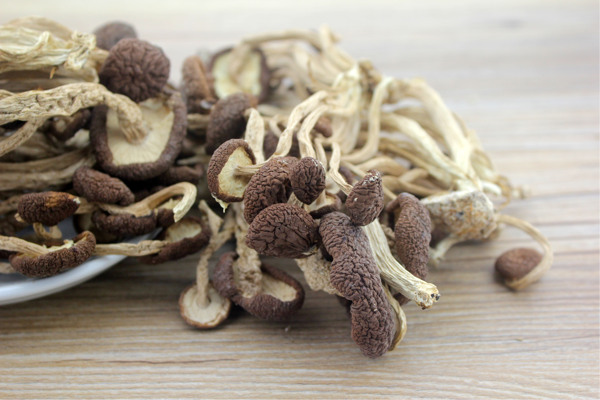 茶樹菇干