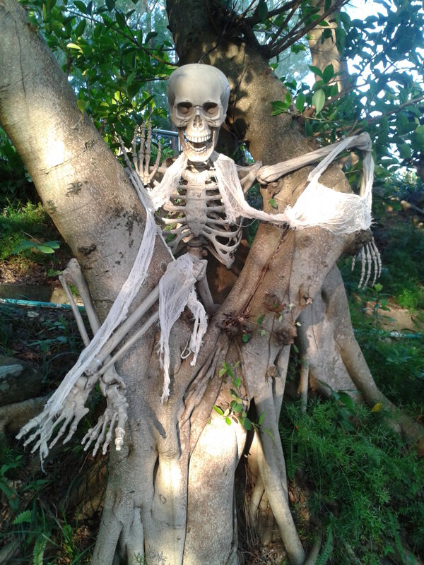 香港海洋公園萬圣圖片