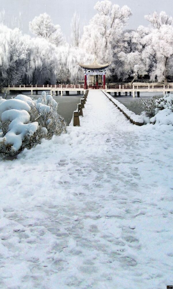美麗的涼亭雪景圖片