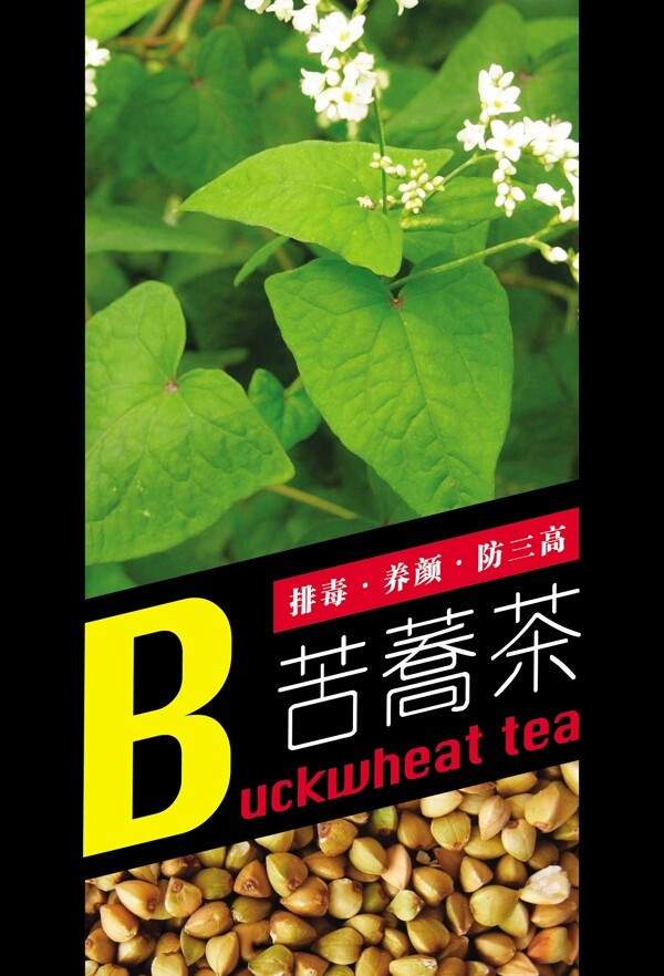 苦蕎茶圖片
