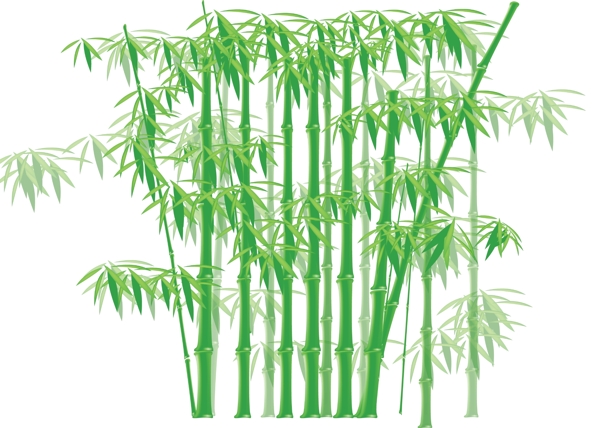 竹子竹海竹林图片