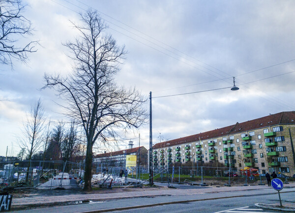 丹麦寒冷冬天的枯树街道和房屋