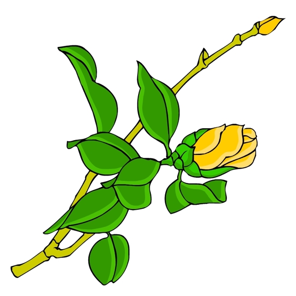花卉古典插畫