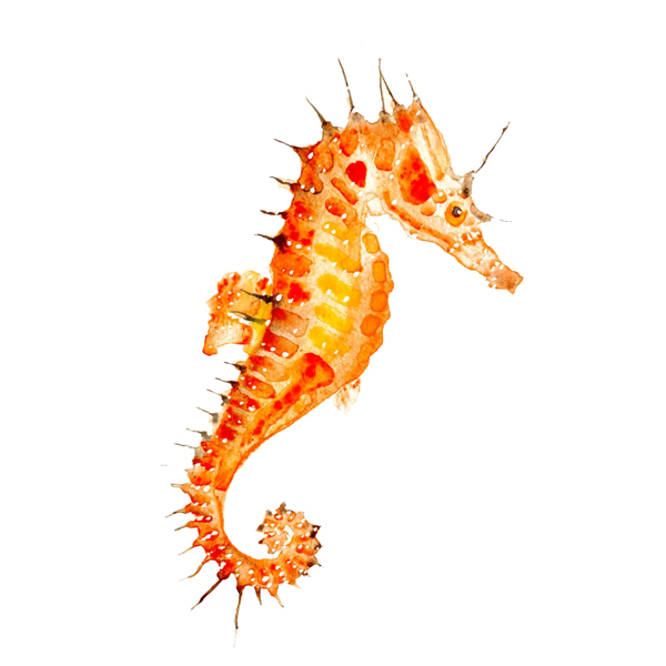 位图插画时尚插画动物插画艺术效果免费素材