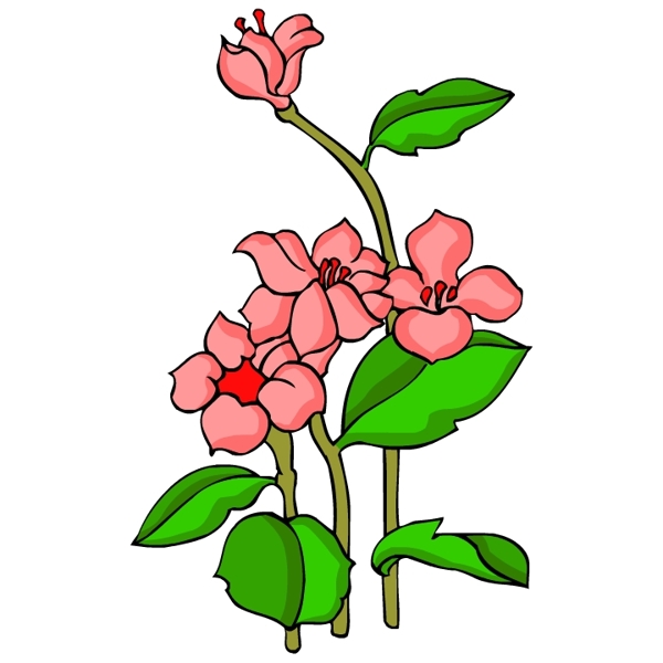花卉古典插畫