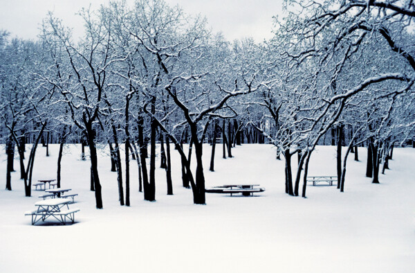 雪景高清圖片素材