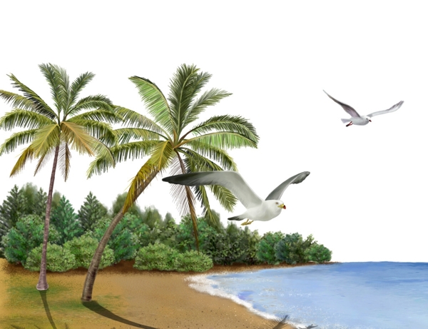 海景海鸥椰子图图片