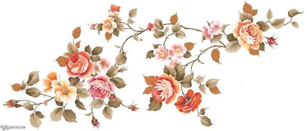 中國(guó)風(fēng)花朵素材