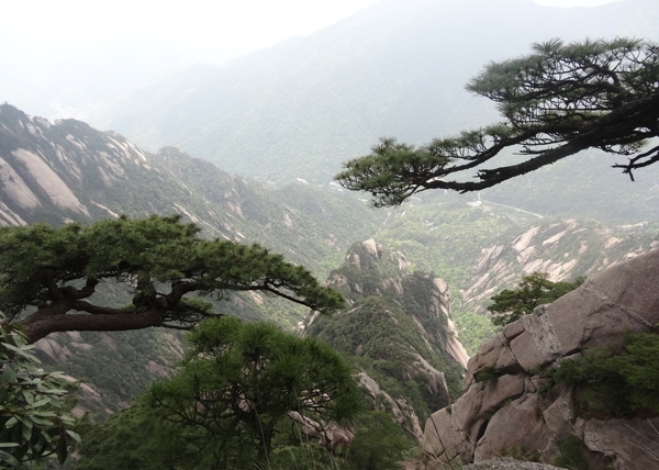 黃山
