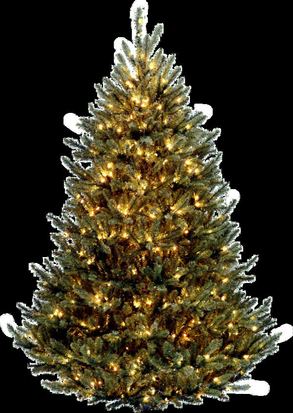 美丽圣诞树透明素材