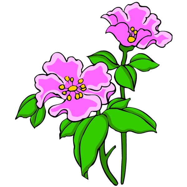 花卉古典插畫