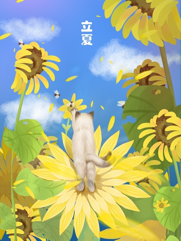 立夏小猫咪与向日葵
