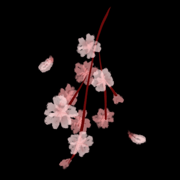 粉色的漂亮樱花插画