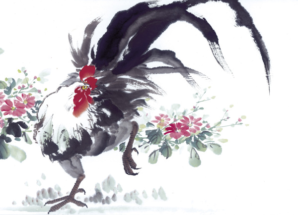 鸡写意花鸟国画0233