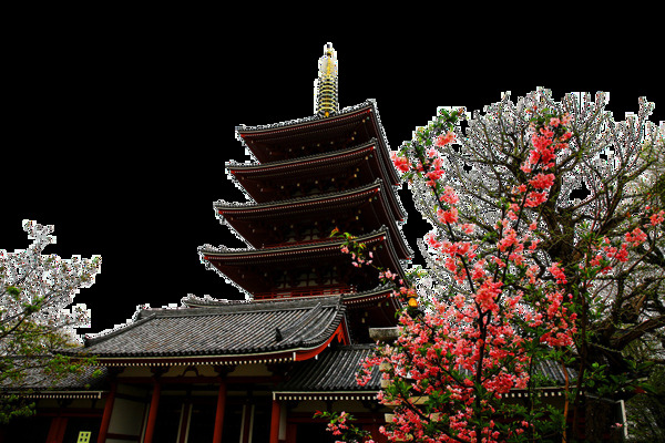 简约红色樱花树日本旅游装饰元素