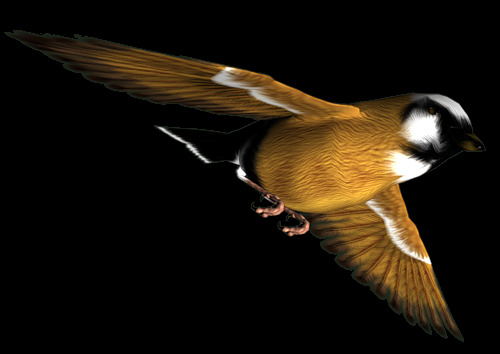 飞翔的小鸟图片免抠png透明图层素材