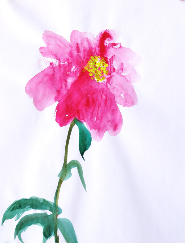 暈染的花朵