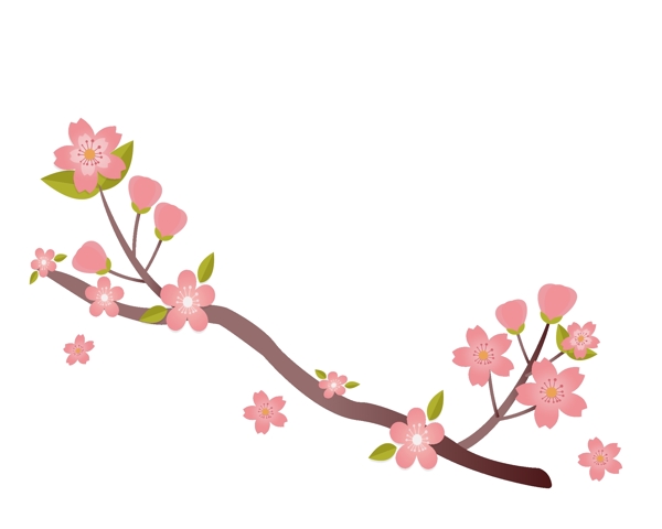 一支樱花图案插图