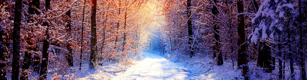 雪景banner創(chuàng)意設計