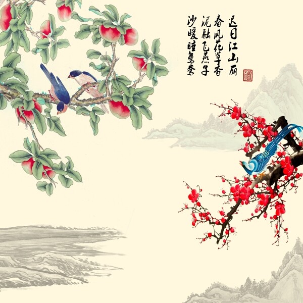 梅花圖片