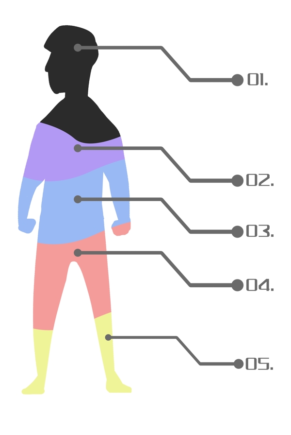 人体器官图表插画