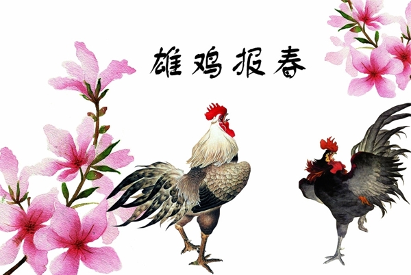 雄雞報春